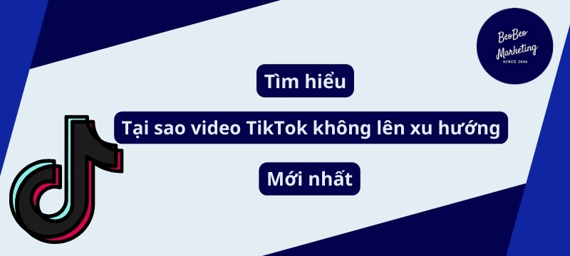Tại sao video TikTok không lên xu hướng