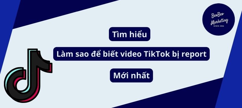 Làm sao để biết video TikTok bị report