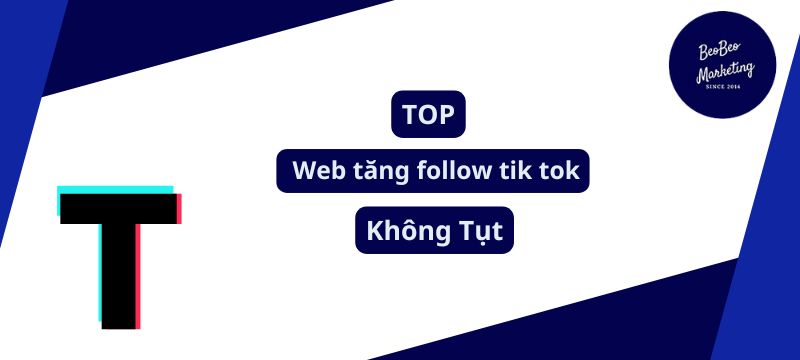 Tổng hợp web tăng follow tiktok hiệu quả