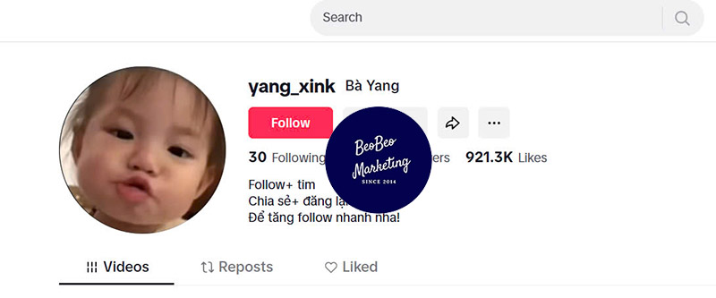 fbsubnet tik tok có thực sự hiệu quả