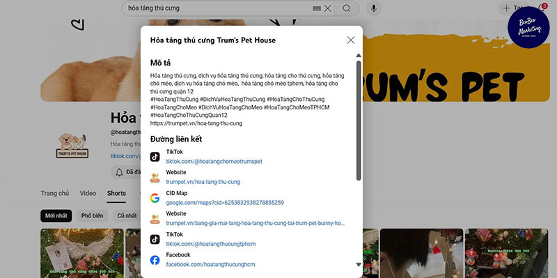 1000 view TikTok free liên kết các nền tảng