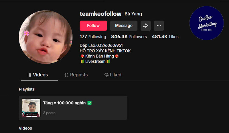 follower la gì trên tiktok