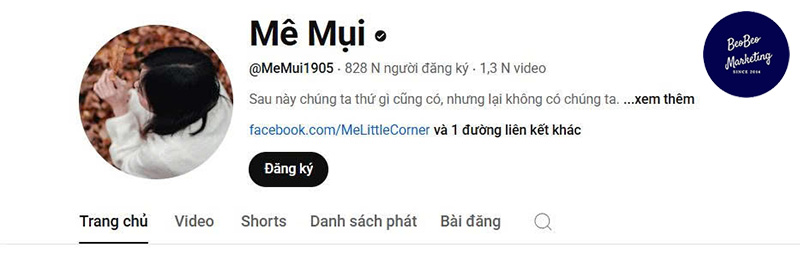 Nên tăng sub youtube hay không